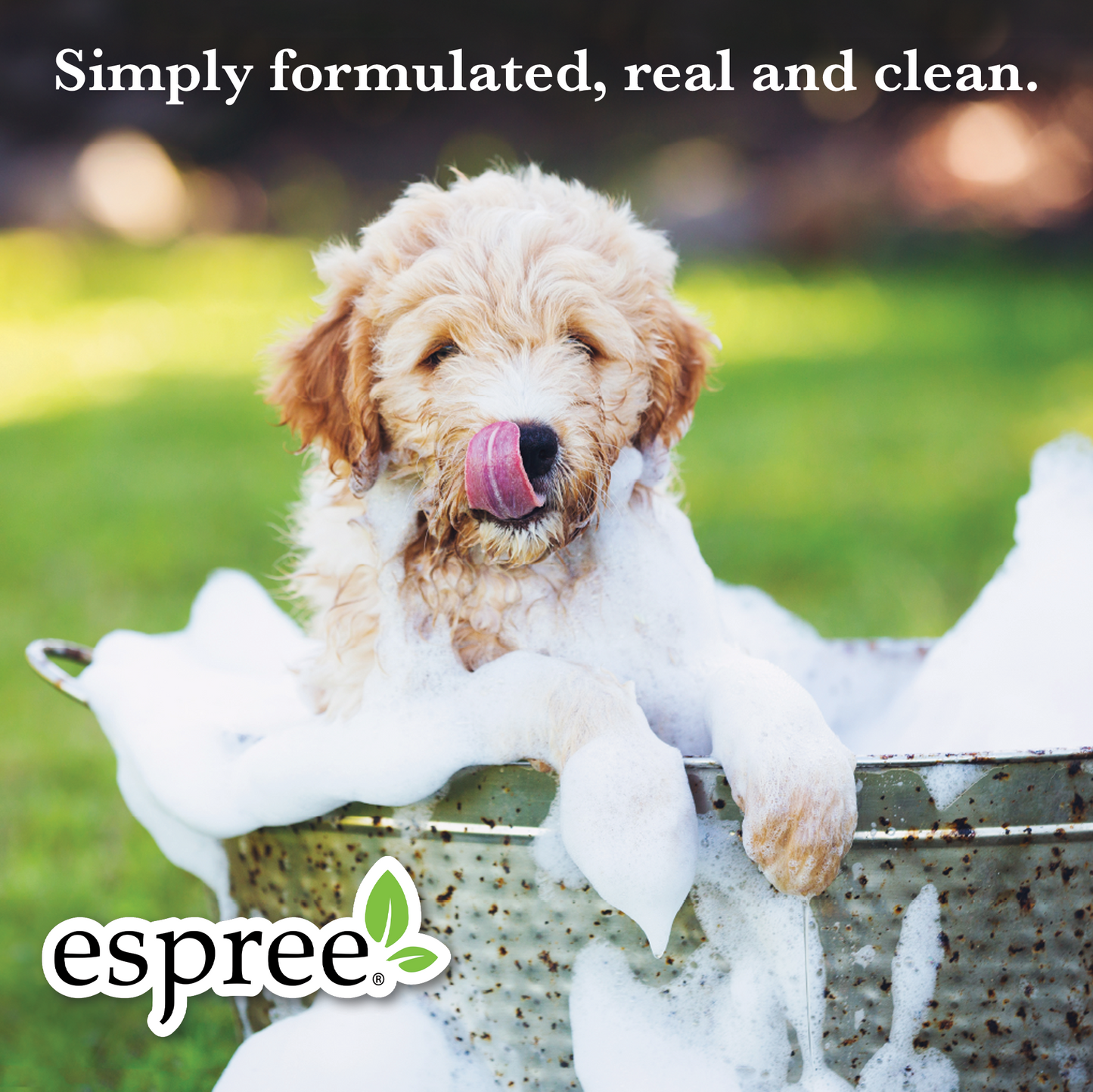 Simple Shed Shampoo, 1 Gallon