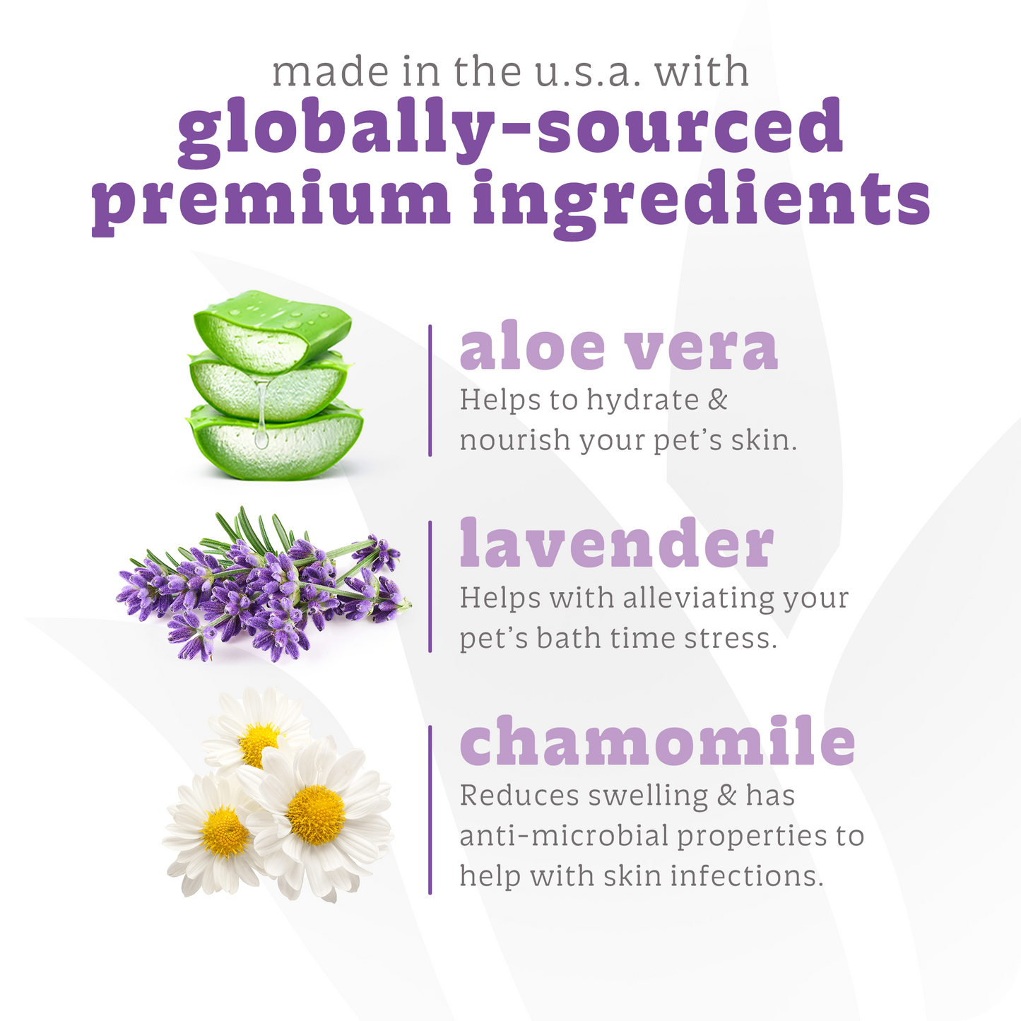 Calming Lavender & Chamomile Shampoo & Conditioner, Gallon