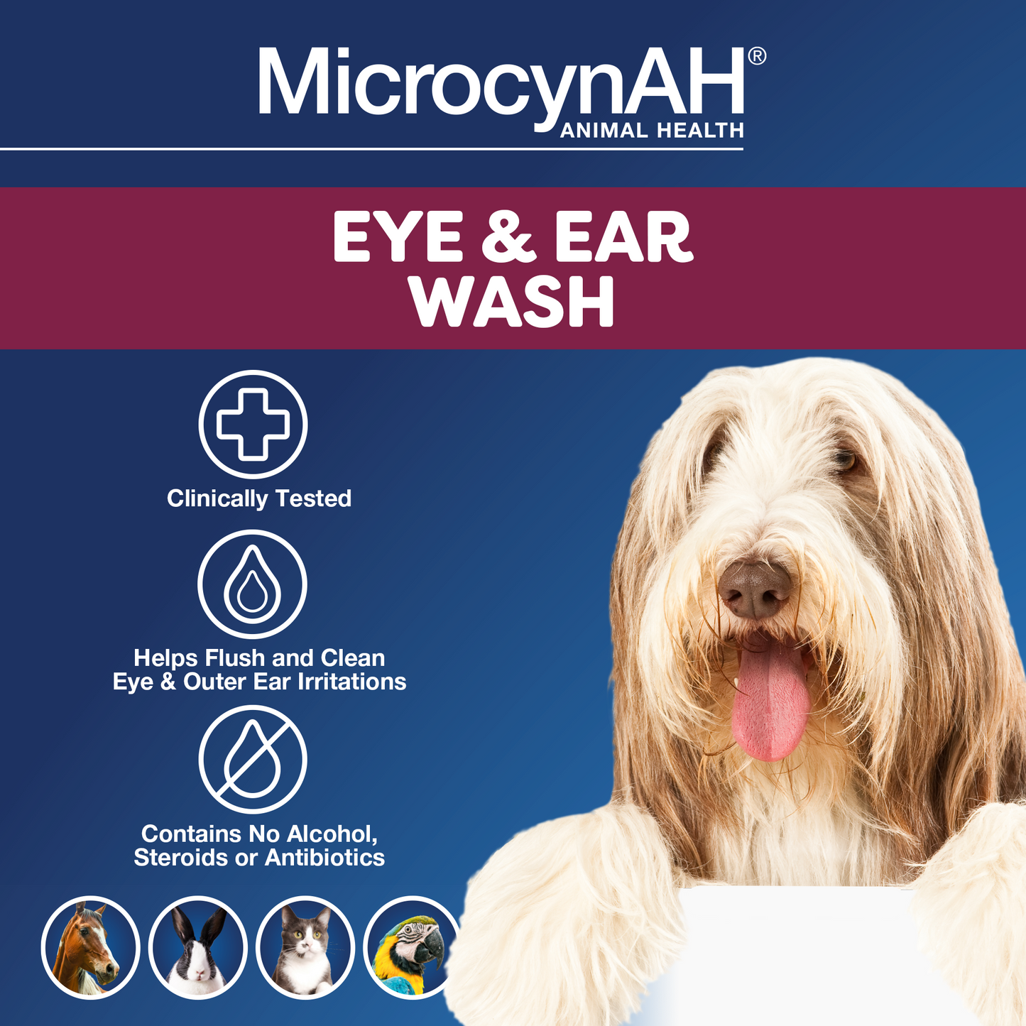 Manna Pro MicrocynAH Ear & Eye Wash, 3 Oz