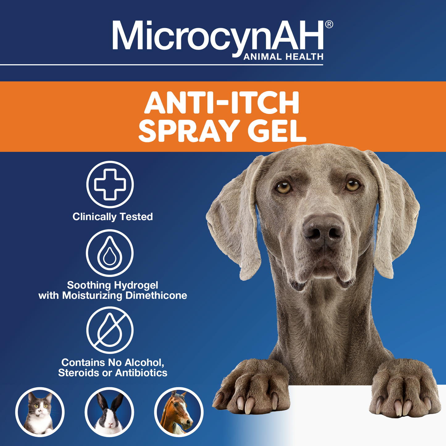 Microcyn AH Anti-Itch Spray Gel, 8 Oz