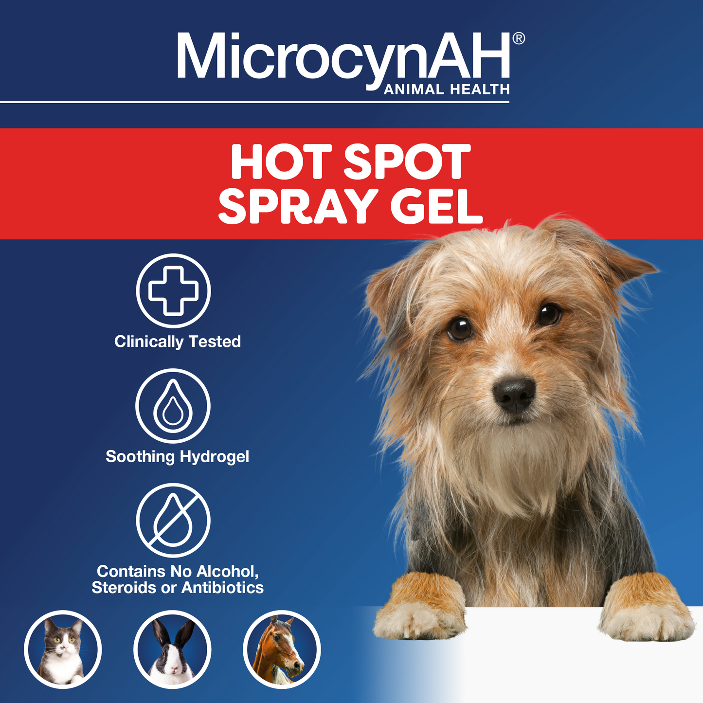 MICROCYN HOT SPOT HYDROGEL