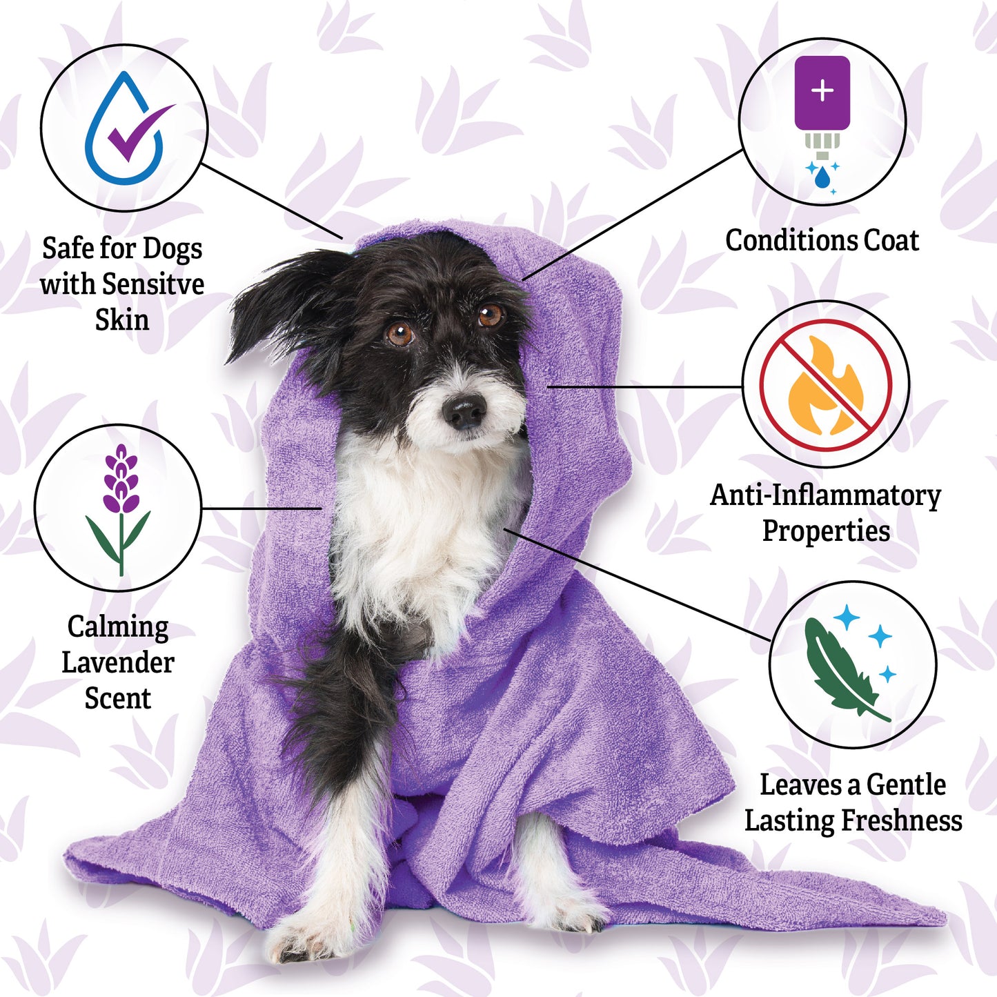 Calming Lavender & Chamomile Shampoo & Conditioner, 20 oz