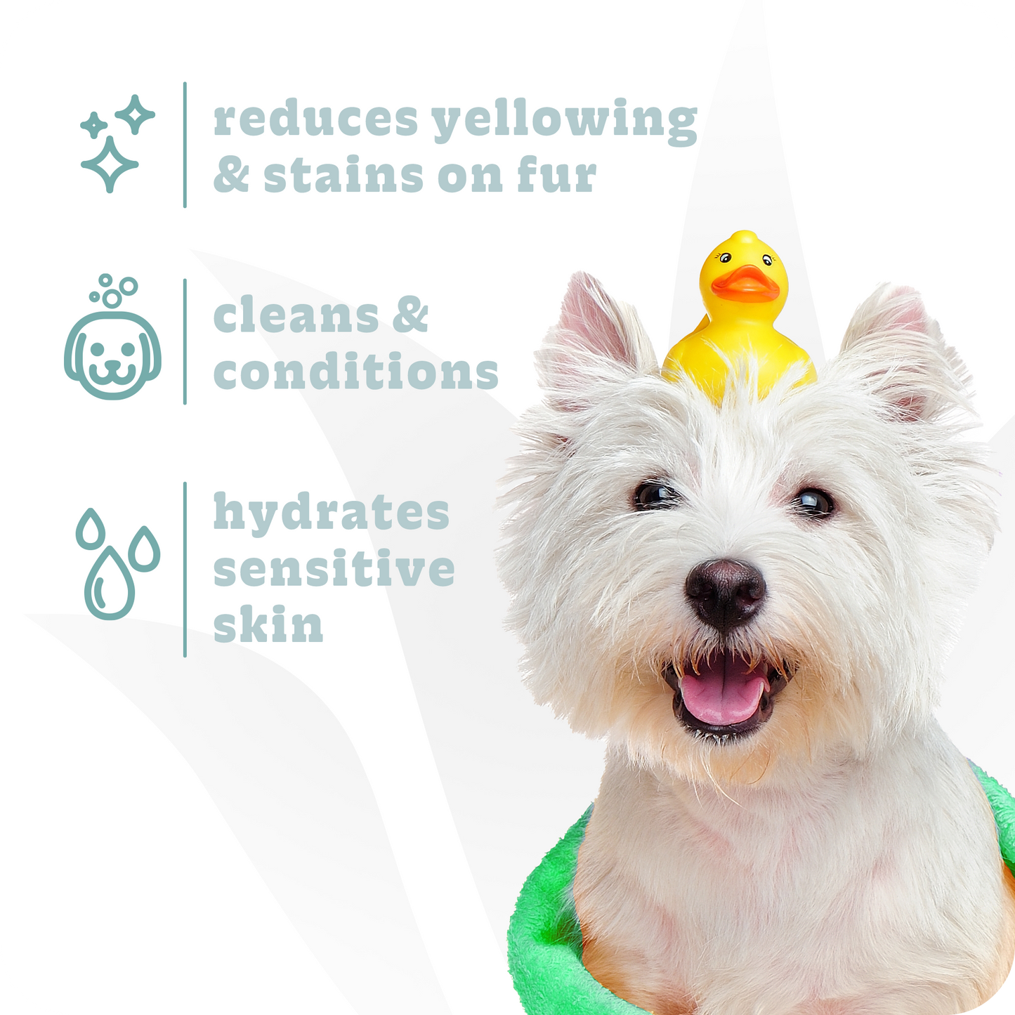 Bright White Dog Shampoo & Conditioner, 1 Gallon